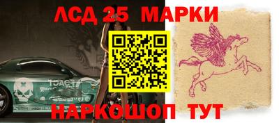 гашик Славгород