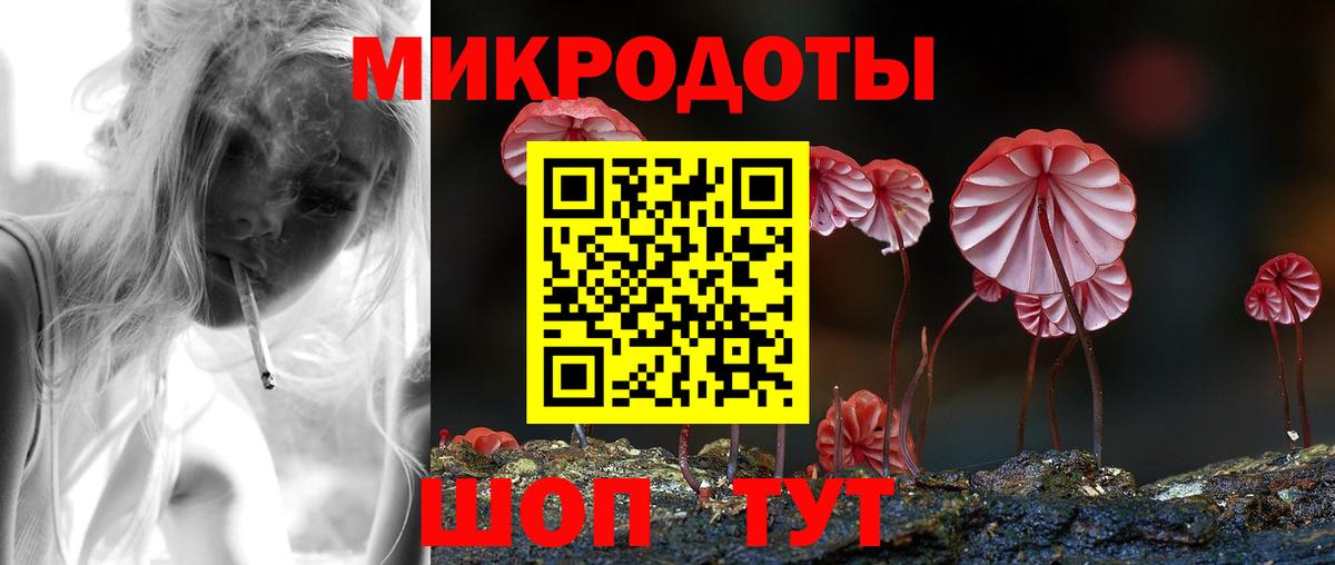 Псилоцибиновые грибы Psilocybine cubensis Петропавловск-Камчатский